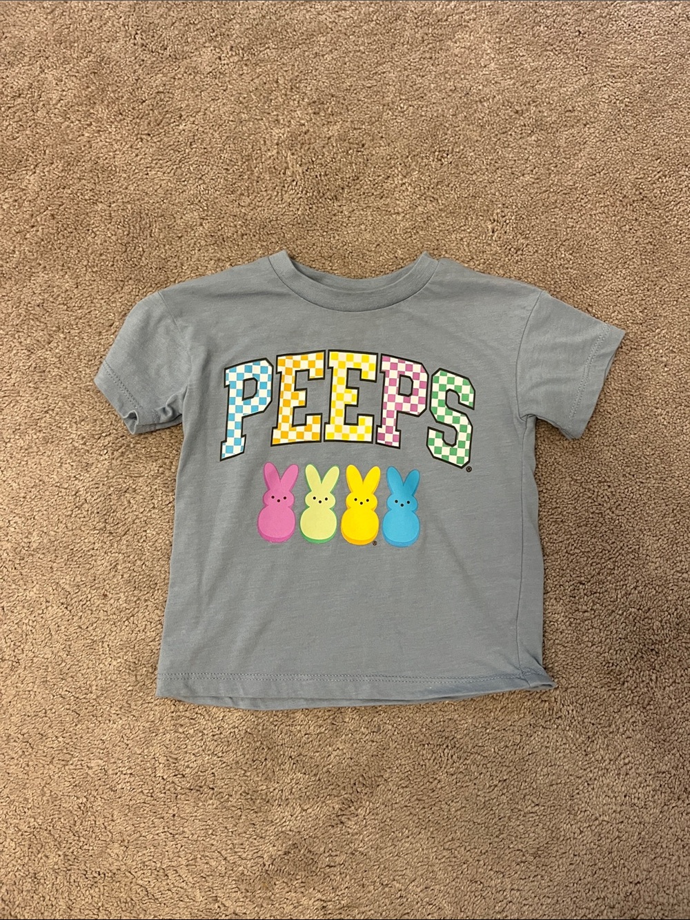 Kids Peeps Short Sleeve Tee with Colorful Bunny Graphic
